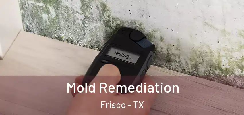  Mold Remediation Frisco - TX