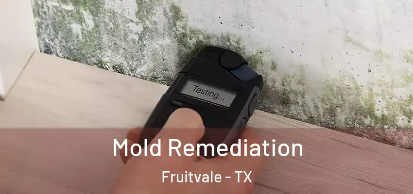 Mold Remediation Fruitvale - TX