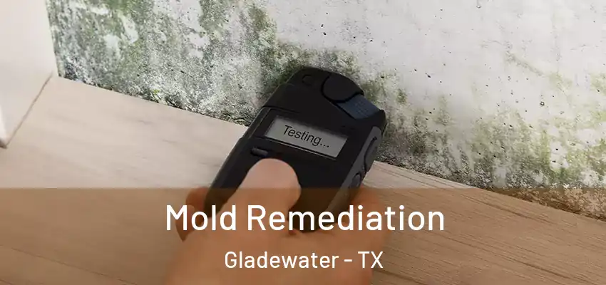  Mold Remediation Gladewater - TX