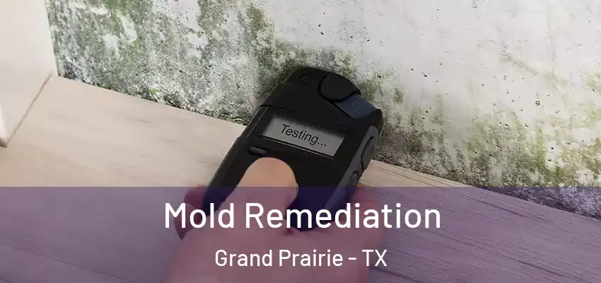  Mold Remediation Grand Prairie - TX