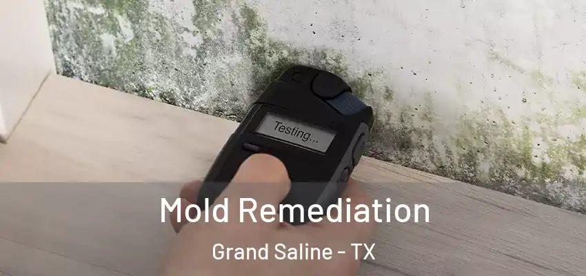 Mold Remediation Grand Saline - TX