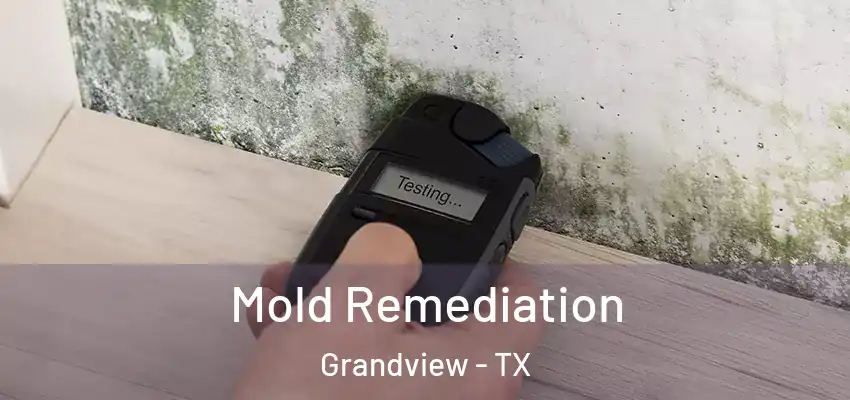  Mold Remediation Grandview - TX