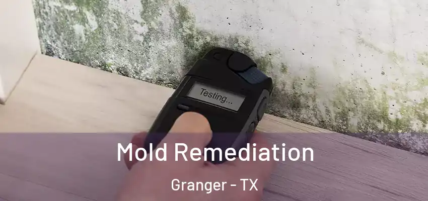  Mold Remediation Granger - TX