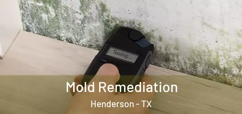 Mold Remediation Henderson - TX