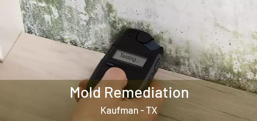 Mold Remediation Kaufman - TX