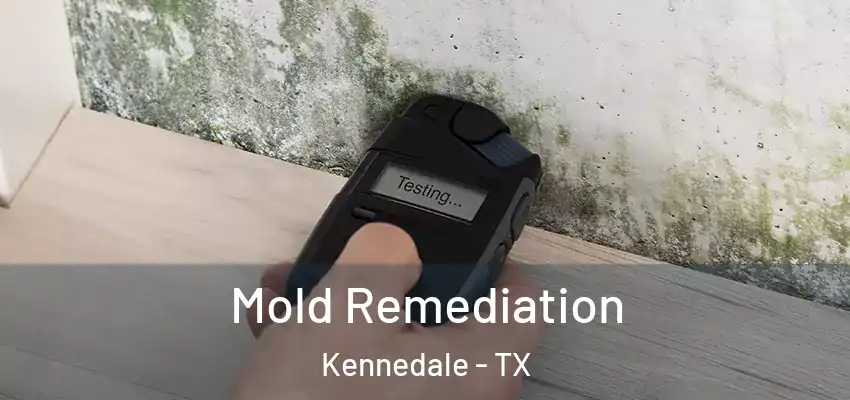  Mold Remediation Kennedale - TX
