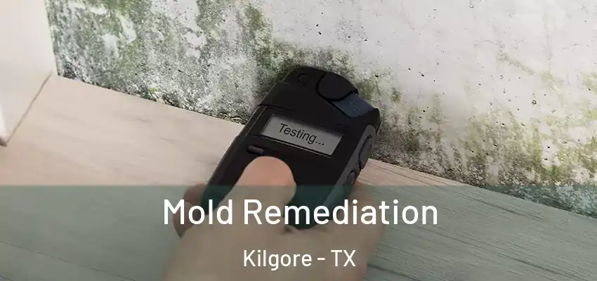  Mold Remediation Kilgore - TX