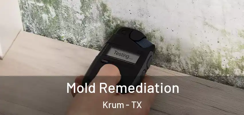  Mold Remediation Krum - TX