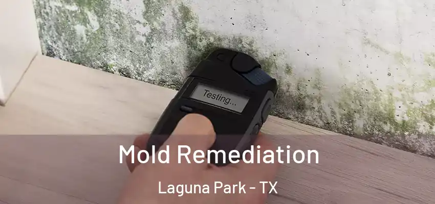  Mold Remediation Laguna Park - TX
