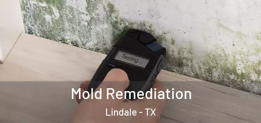 Mold Remediation Lindale - TX