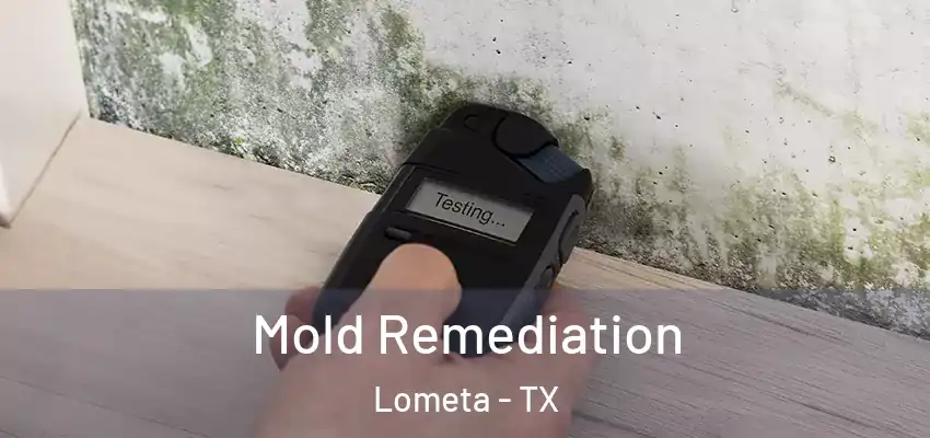 Mold Remediation Lometa - TX
