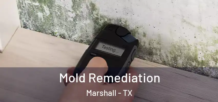  Mold Remediation Marshall - TX