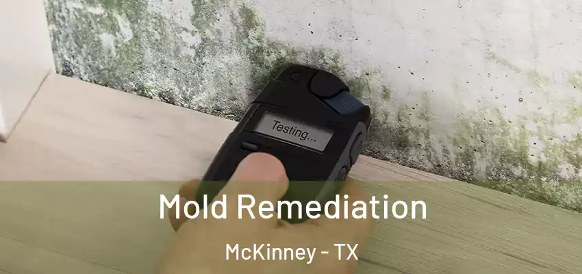 Mold Remediation McKinney - TX
