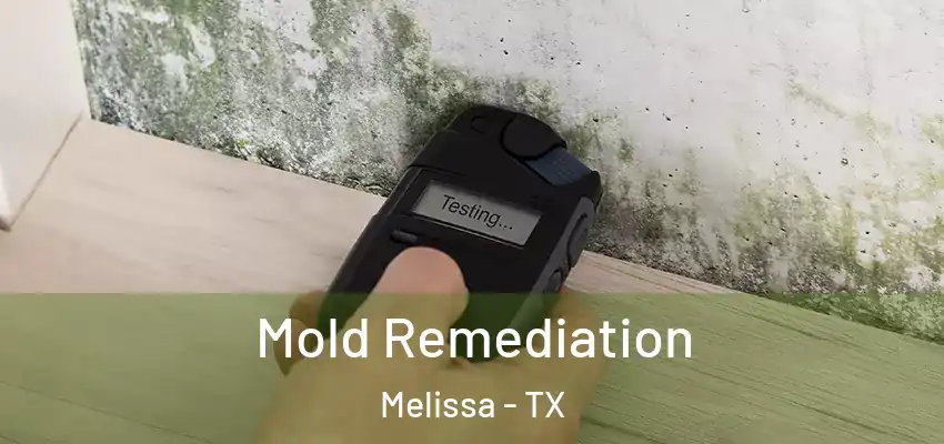  Mold Remediation Melissa - TX