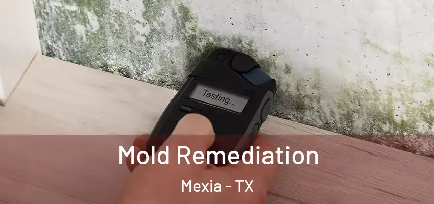  Mold Remediation Mexia - TX