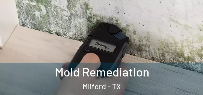  Mold Remediation Milford - TX