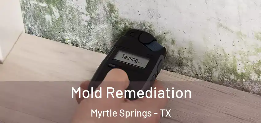 Mold Remediation Myrtle Springs - TX