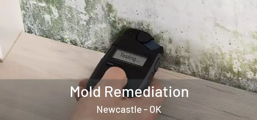  Mold Remediation Newcastle - OK
