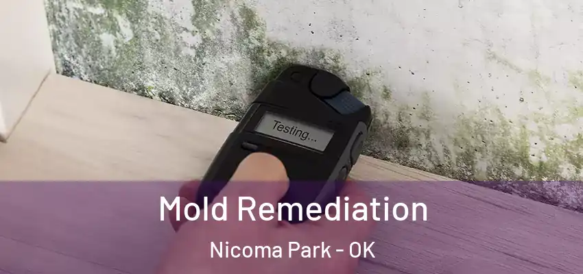 Mold Remediation Nicoma Park - OK