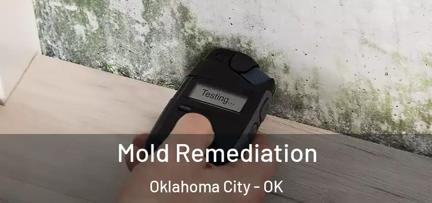 Mold Remediation Oklahoma City - OK