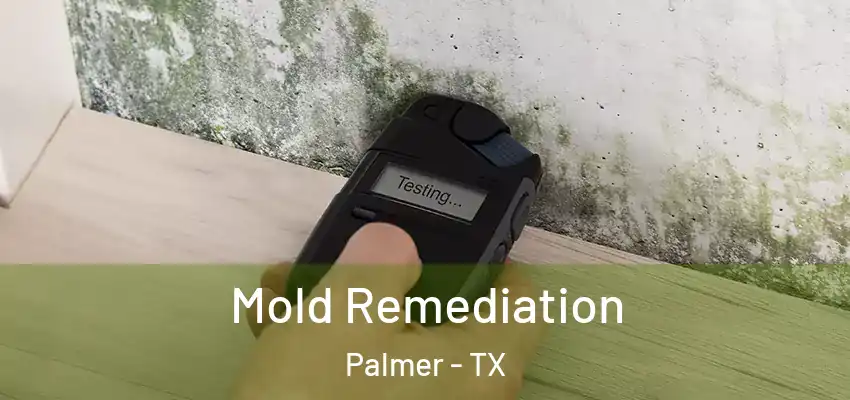  Mold Remediation Palmer - TX