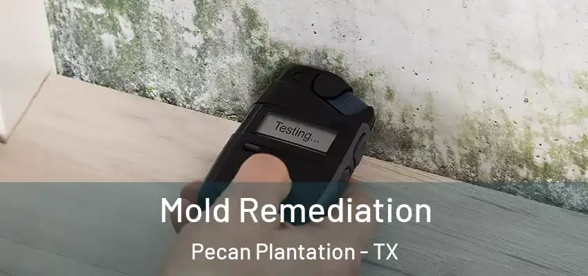 Mold Remediation Pecan Plantation - TX