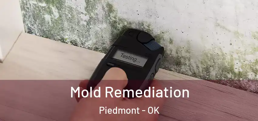  Mold Remediation Piedmont - OK