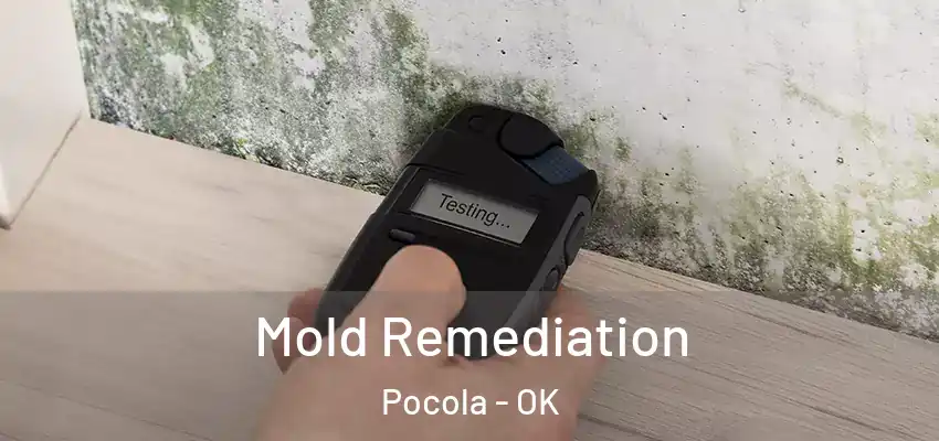  Mold Remediation Pocola - OK