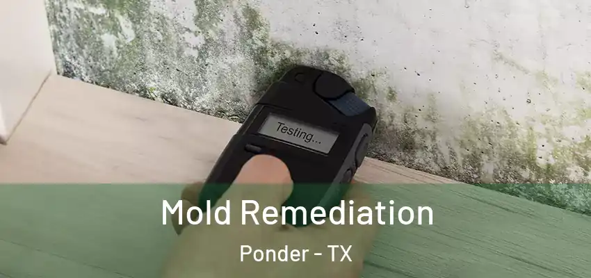  Mold Remediation Ponder - TX