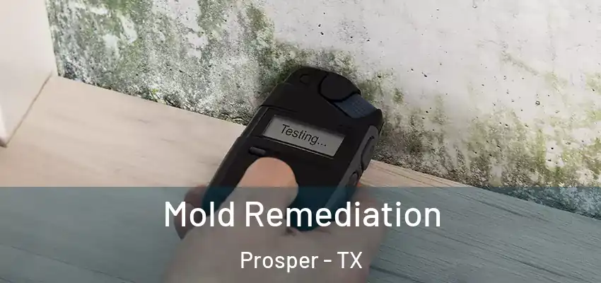 Mold Remediation Prosper - TX