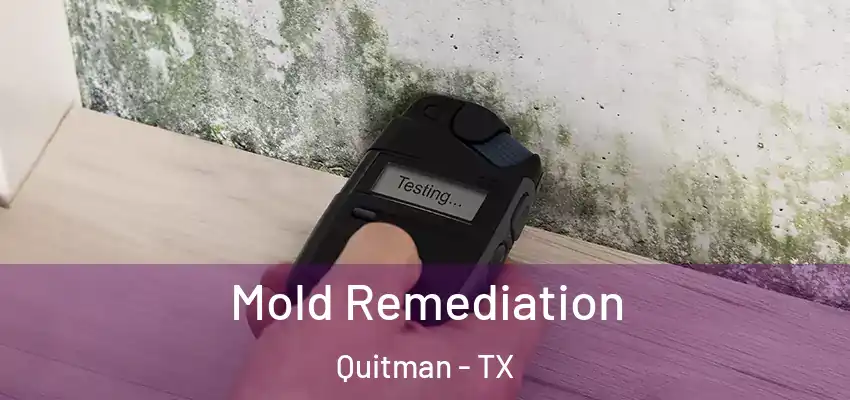  Mold Remediation Quitman - TX