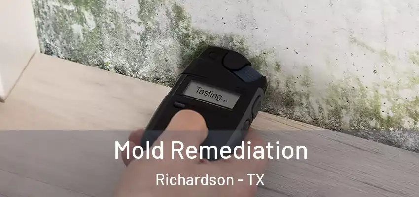 Mold Remediation Richardson - TX