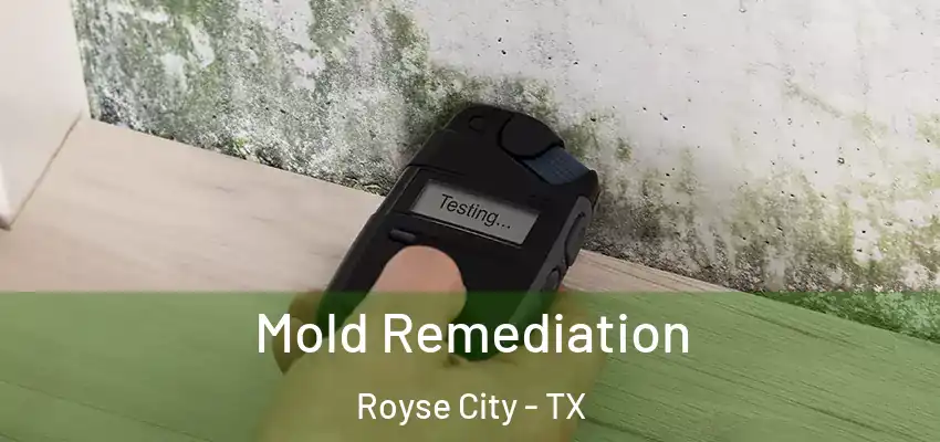  Mold Remediation Royse City - TX