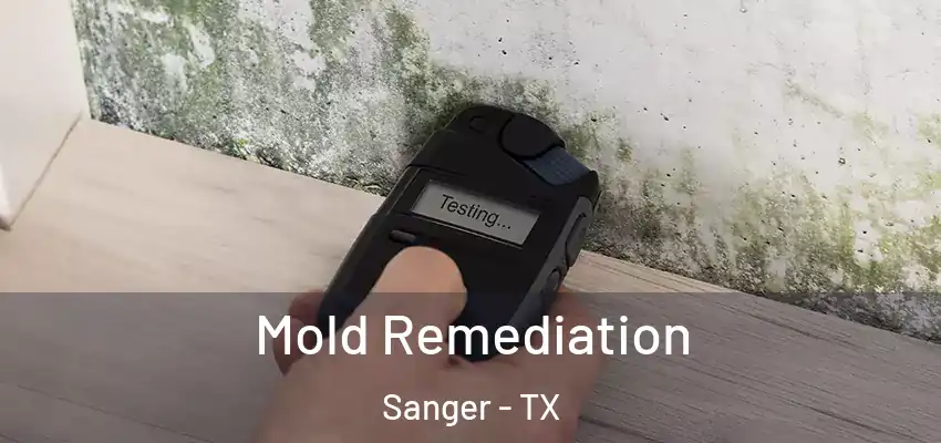  Mold Remediation Sanger - TX