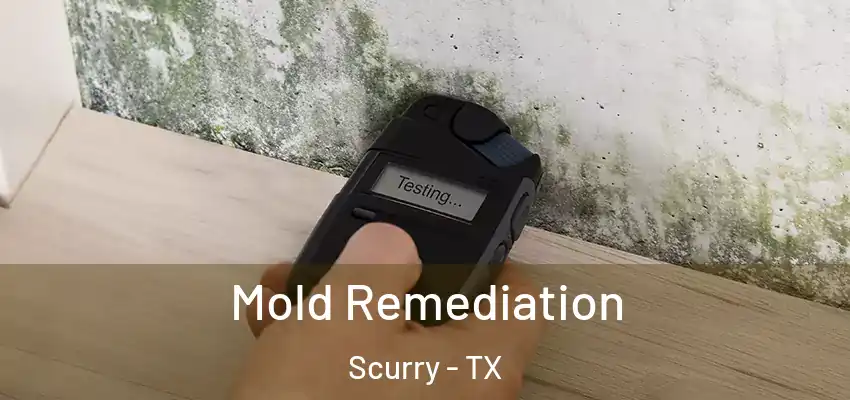 Mold Remediation Scurry - TX