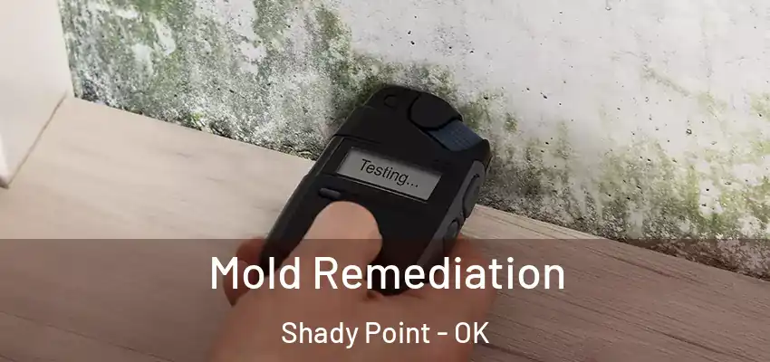  Mold Remediation Shady Point - OK