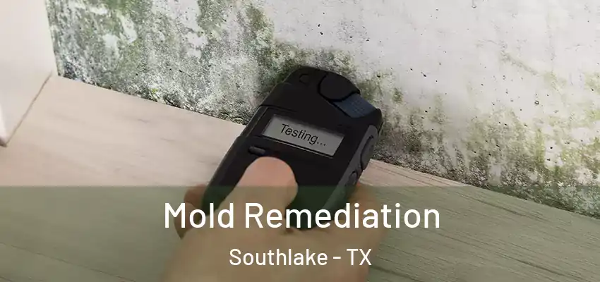 Mold Remediation Southlake - TX