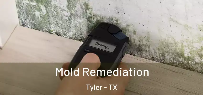  Mold Remediation Tyler - TX