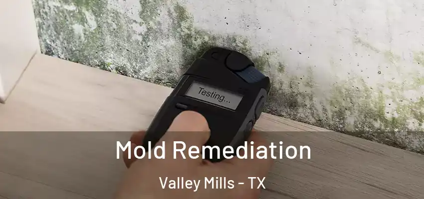  Mold Remediation Valley Mills - TX