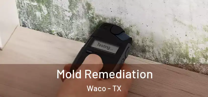  Mold Remediation Waco - TX