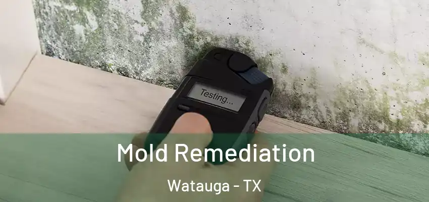  Mold Remediation Watauga - TX