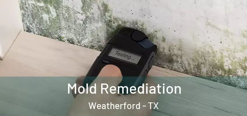 Mold Remediation Weatherford - TX