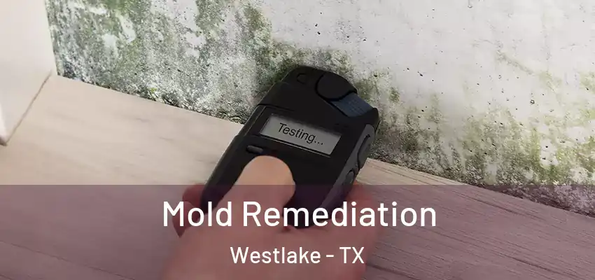  Mold Remediation Westlake - TX