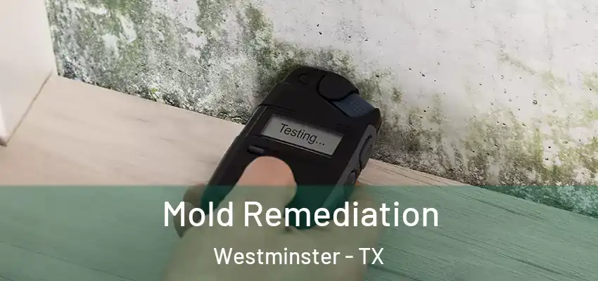  Mold Remediation Westminster - TX