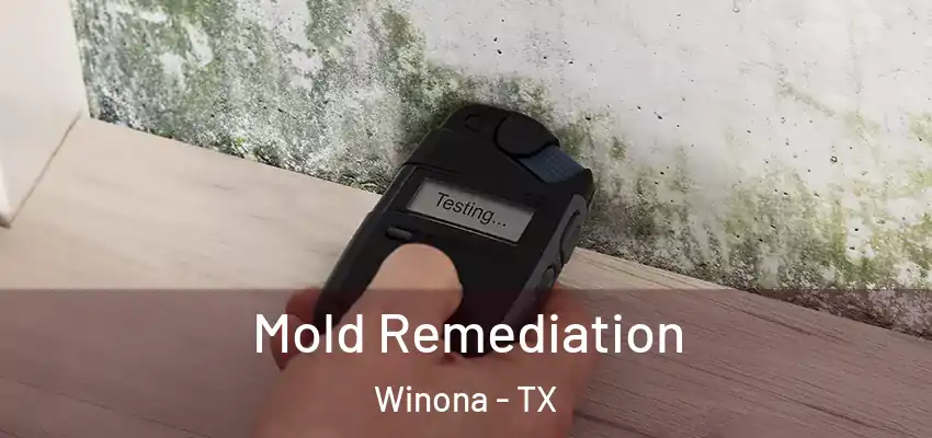  Mold Remediation Winona - TX
