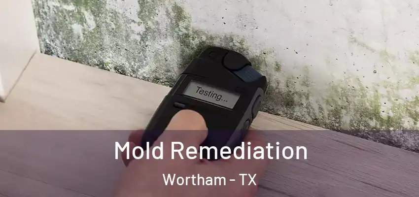 Mold Remediation Wortham - TX