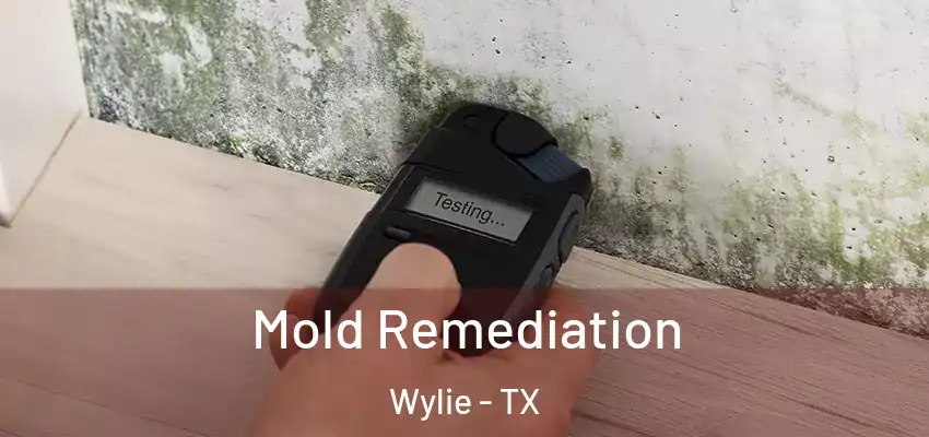 Mold Remediation Wylie - TX