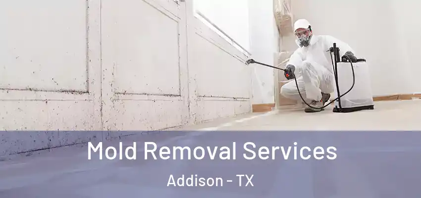 Mold Removal Services Addison - TX