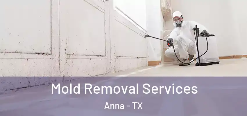  Mold Removal Services Anna - TX