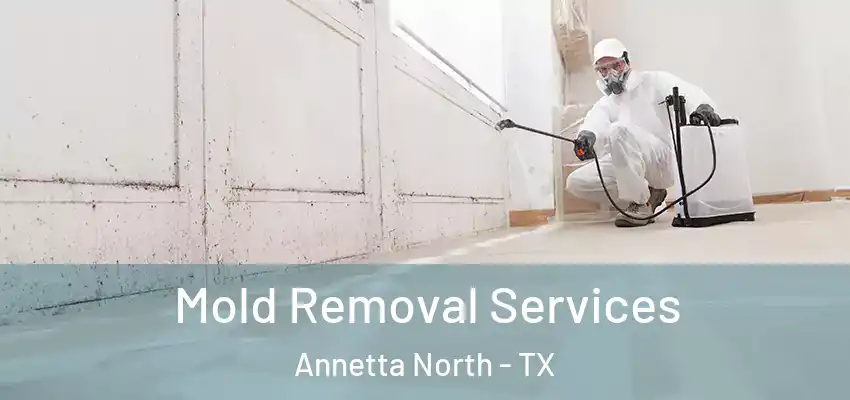  Mold Removal Services Annetta North - TX